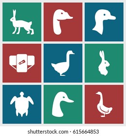 Friendly icons set. set of 9 friendly filled icons such as goose, rabbit, diaper