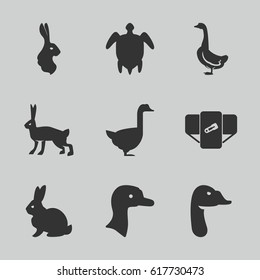 Friendly icons set. set of 9 friendly filled icons such as goose, rabbit, diaper