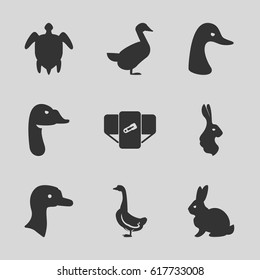 Friendly icons set. set of 9 friendly filled icons such as goose, rabbit, diaper