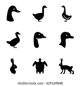 Friendly icons set. set of 9 friendly filled icons such as goose, rabbit