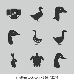 Friendly icons set. set of 9 friendly filled icons such as goose, rabbit, diaper