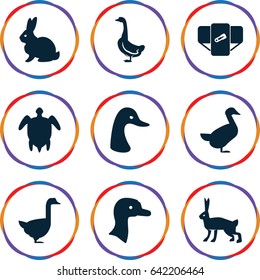 Friendly icons set. set of 9 friendly filled icons such as goose, rabbit, diaper