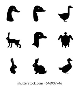 Friendly icons set. set of 9 friendly filled icons such as goose, rabbit