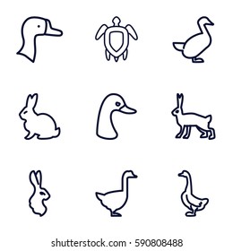 friendly icons set. Set of 9 friendly outline icons such as rabbit, goose