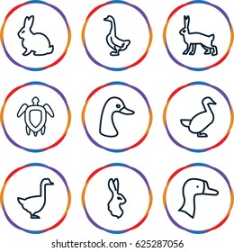 Friendly icons set. set of 9 friendly outline icons such as rabbit, goose