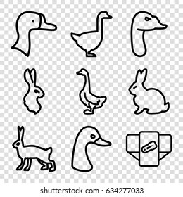 Friendly icons set. set of 9 friendly outline icons such as rabbit, goose