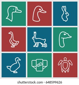 Friendly icons set. set of 9 friendly outline icons such as goose, rabbit, diaper