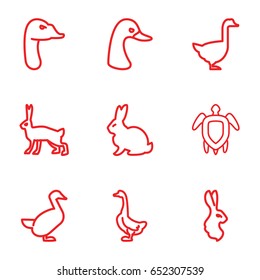 Friendly icons set. set of 9 friendly outline icons such as rabbit, goose