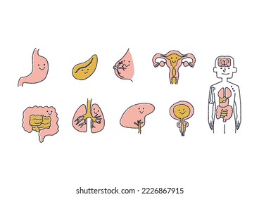  Friendly illustration of healthy human organs