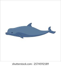 friendly Irrawaddy dolphins, marine mammals animal