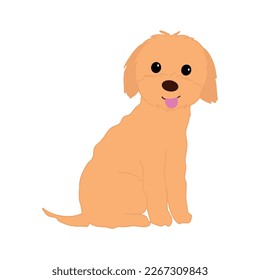 Friendly red puppy sitting vector illustration. Maltipoo breed with a tongue. Cute small brown dog.