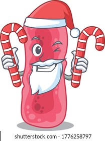 Friendly shigella sonnei in Santa Cartoon character holds Christmas candies