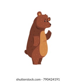 Friendly smiling bear waving his paw. Funny grizzly with brown fur, short tail and small ears. Cartoon wild animal. Flat vector for network sticker, card or kids book