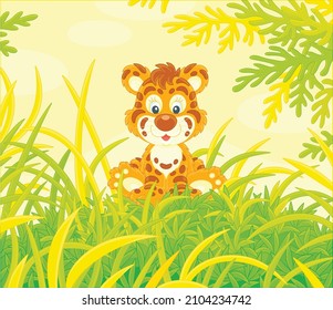 Friendly smiling cute baby tiger sitting on green grass of a forest glade on a beautiful sunny day, vector cartoon illustration