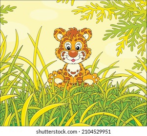 Friendly smiling cute baby tiger sitting on green grass of a pretty forest glade on a beautiful sunny day, vector cartoon illustration