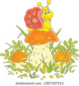 Friendly smiling little snail on a large cap of a cep mushroom among green grass on a summer forest glade, vector cartoon illustration isolated on a white background