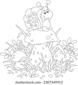 Friendly smiling little snail on a large cap of a cep mushroom among grass on a summer forest glade, black and white outline vector cartoon illustration for a coloring book