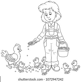 Friendly smiling poultry woman feeding her hen and small chicks on a poultry farm, black and white vector illustration in a cartoon style for a coloring book