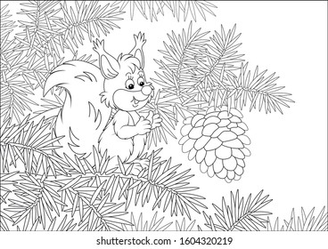 Friendly smiling small squirrel with a big cone on a branch of a prickly fir tree in a wild forest, black and white vector cartoon illustration for a coloring book