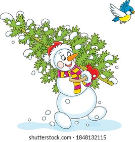 Friendly smiling snowman with a red hat, a warm scarf and mittens carrying a prickly green fir tree from a snowy winter forest to decorate it for Christmas and New Year