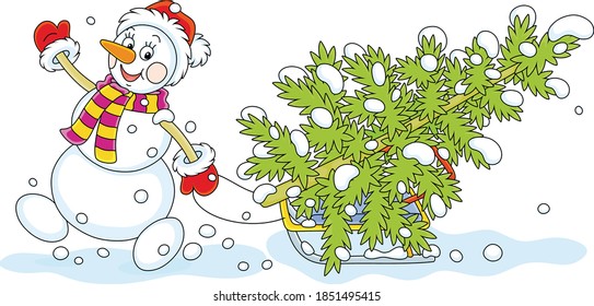 Friendly smiling snowman with a red hat, a warm scarf and mittens carrying a prickly green fir on a sledge from a snowy winter forest to decorate it for Christmas and New Year