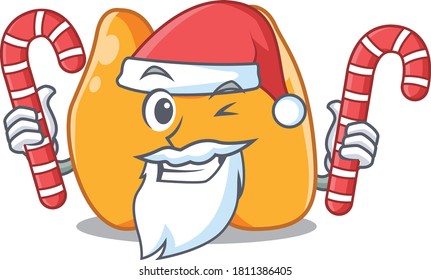 Friendly thyroid dressed in Santa Cartoon character with Christmas candies