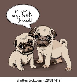 Friends pugs puppies together. Vector illustration.