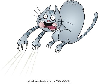 frightened cat