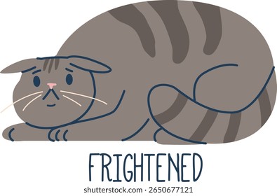 Frightened cat pet animal language