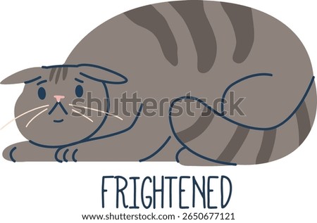 Frightened cat pet animal language