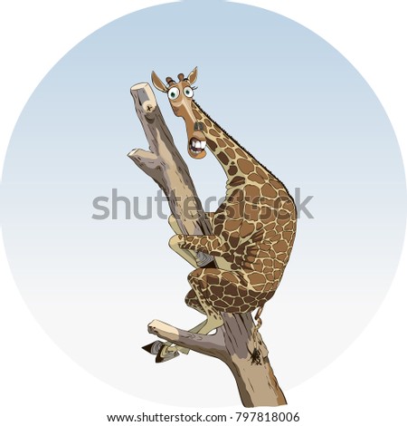 A frightened giraffe climbed a tree