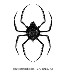 Aterrador Vector de araña dibujado a mano en tinta negra sobre un fondo blanco para la decoración de Halloween y diseño espeluznante. Elementos de Halloween dibujados a mano, diseño de Halloween de lápiz de crayón aislado en blanco