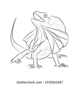 The frilled lizard (Chlamydosaurus kingii). Line drawing. Black and white illustration. Vector.