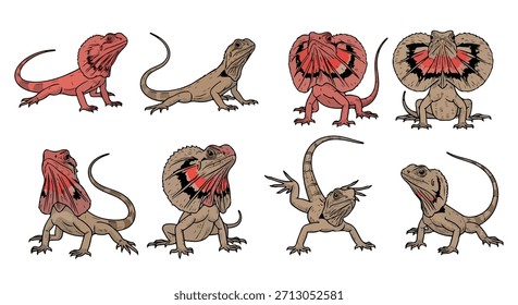 Poses de lagarto frias e vistas com fundo transparente