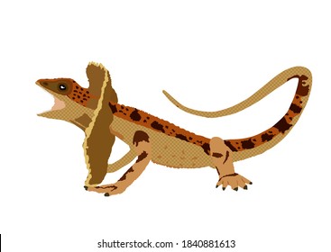 192 Frilled dragon Stock Illustrations, Images & Vectors | Shutterstock