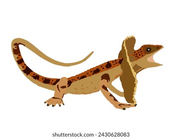 Frilled lizard vector illustration isolated on white background. Chlamydosaurus kingii symbol. Frill Dragon Neck.
