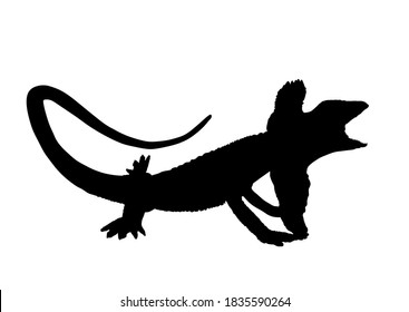 Frilled lizard vector silhouette illustration isolated on white background. Chlamydosaurus kingii symbol. Frill Dragon Neck. Shape lizard shadow.