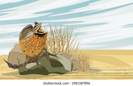 The Frilled Lizards are sitting on a rock near the dry grass. Chlamydosaurus kingii or frill-necked lizard, frilled dragon or frilled agama. Wild reptiles of Australia and New Guinea. Realistic vector