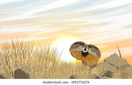 Frilled Lizards In Tall Dry Grass. Chlamydosaurus Kingii Or Frill-necked Lizard, Frilled Dragon Or Frilled Agama. Wild Reptiles Of Australia And New Guinea. Realistic Vector Landscape