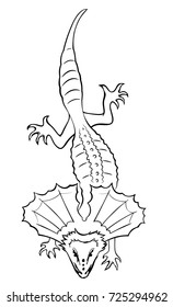 Frilled-necked lizard. Outline vector illustration
