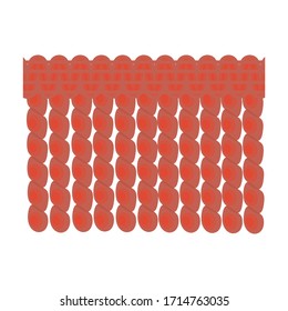 Fringe vector icon.Cartoon vector icon isolated on white background fringe.