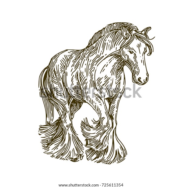 Frisian Horse Sketch Vector Illustration Stock Vector (Royalty Free ...