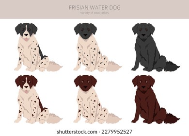 Frisian water dog clipart. Different poses, coat colors set.  Vector illustration