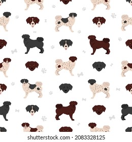 Patrón de perro de agua frisa sin soldadura. Postas diferentes, colores de abrigo.  Ilustración del vector