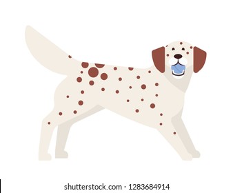 Frisky spotted dog playing with ball. Playful adorable purebred doggy or puppy isolated on white background. Funny cute domestic animal or pet. Colorful vector illustration in flat cartoon style.