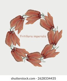 Fritillaria imperialis flores de laranja grinalda no fundo branco aquarela mão pintura de pintura ilustração vetorial para web, para impressão, para banner, para cartão postal, Lorem Ipsum