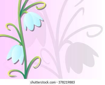 Fritillaria verticillata