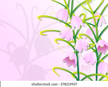 Fritillaria verticillata