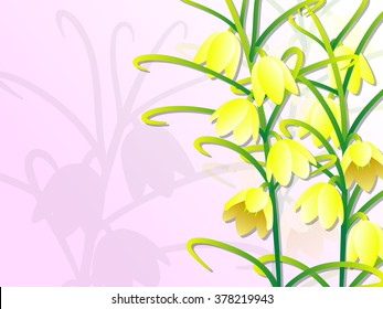 Fritillaria verticillata
