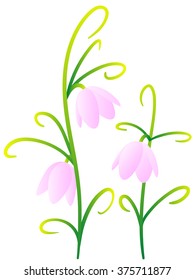 Fritillaria verticillata light pink flower